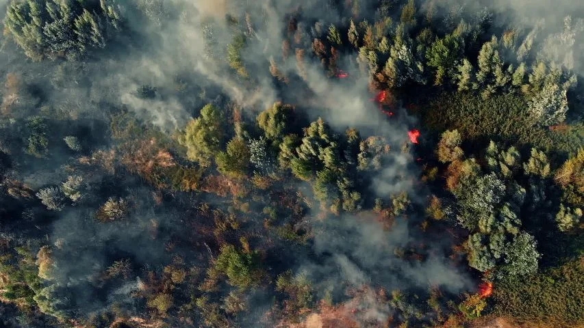 Incendies de forêt en cours dans le centre du Canada : Impact et intervention